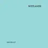 Sam Mallet - Wetlands